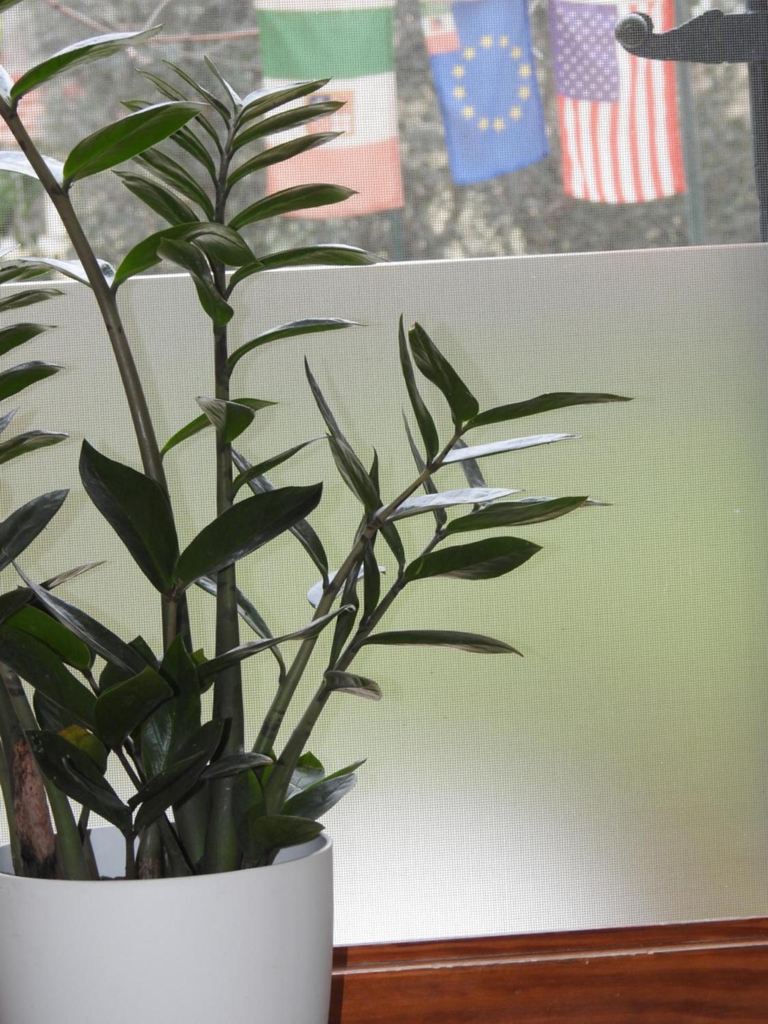 Geoglobe Apartment Pisa Luaran gambar